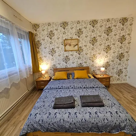 Apartment Appart 28m2 Metz Canal Equipe Meuble Wifi Montigny-les-Metz