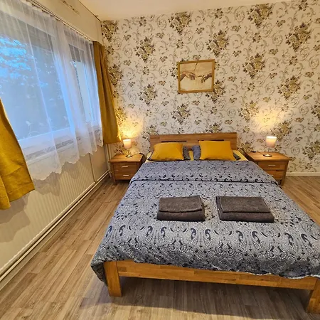 Appart 28m2 Metz Canal Equipe Meuble Wifi Apartment